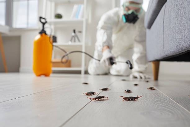 Commercial Kitchen Cockroach Control in Elgin